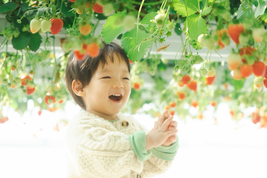 딸기 나무 아래에서 웃고 있는 아이